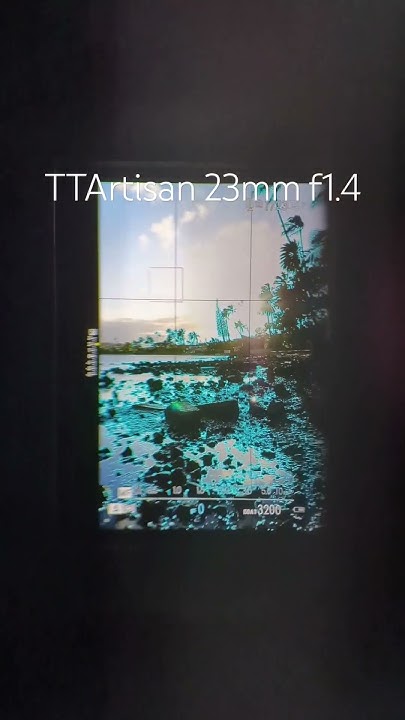are-budget-lenses-worth-it-or-should-you-save-for-a-more-expensive-lens