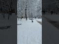Снегопад в Ростове 27.12.2021