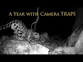 A Year with Camera TRAPS