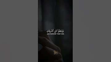 وهو الذي يقبل التوبة عن عباده | القارئ محمود عبد الغني #القران_الكريم #quran