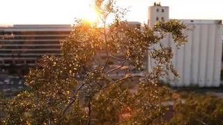 "A" Mountain- Breathe With Tempe series