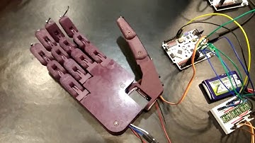 Dextra robotic hand finger motion demonstration