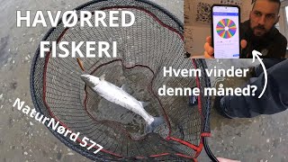 KYSTFISKERI EFTER HAVØRRED + EN HELDIG VINDER !!!!!
