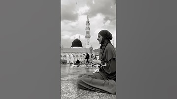 حلات وتس اب قران كريم بصوت جميل❤ #لايك #اكسبلور