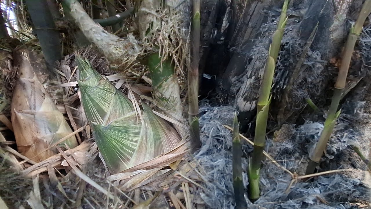 อะไรจะขนาดนี้มาแป๊ปเดียว ได้เยอะมาก