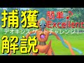 【デオキシス】捕獲解説！新EXレイドボスのデオキシス！簡単にExcellent！【ポケモンGO】