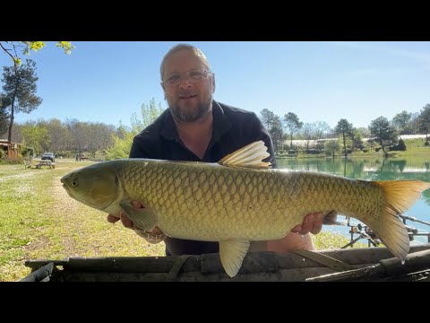 Pêche de la carpe soluble au camping d'Orphéo by Carpecanal