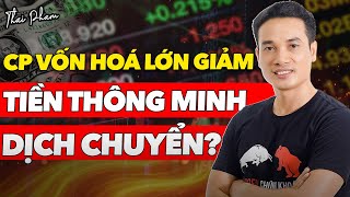 CỔ PHIẾU VỐN HOÁ LỚN KÉO LÙI CHỈ SỐ LIỆU TIỀN THÔNG MINH CÓ TÌM TỚI CÁC CƠ HỘI KHÁC? | THAI PHAM