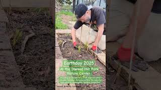 We are providing protection for a small patch of native milkweed at Inwood Hill Park Nature Center !