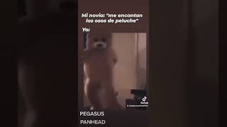 Mi novia: "me encantan los osos de peluche„