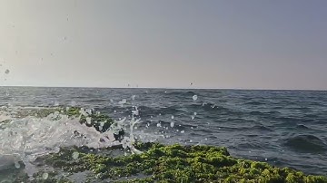 وقال ربكم ادعوني أستجب لكم ... مقطع من سورة غافر بصوت الشيخ ماهر المعيقلي إمام الحرم المكي