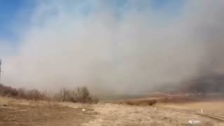 Incendiu masiv de vegetație în apropiere satului Semeni, raionul Ungheni