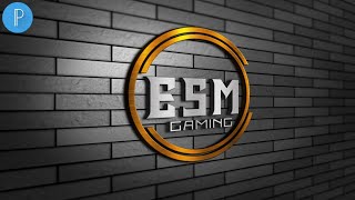 Pixellab professional logo design-ESM logo Design[Vandy Design]
