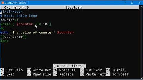 BASH While Loop