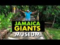 Jamaica giants westmoreland jamaica