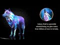 Gorgeous galaxy skin will you get it   the wolf online simulator 2022