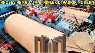 BEGINI TAHAPAN PROSES PEMBUATAN KAYU LAPIS DI PABRIK MODERN TRIPLEK