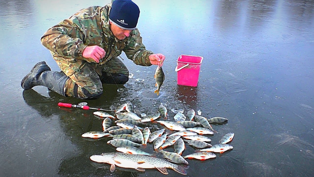 видео про рыбалку зимняя