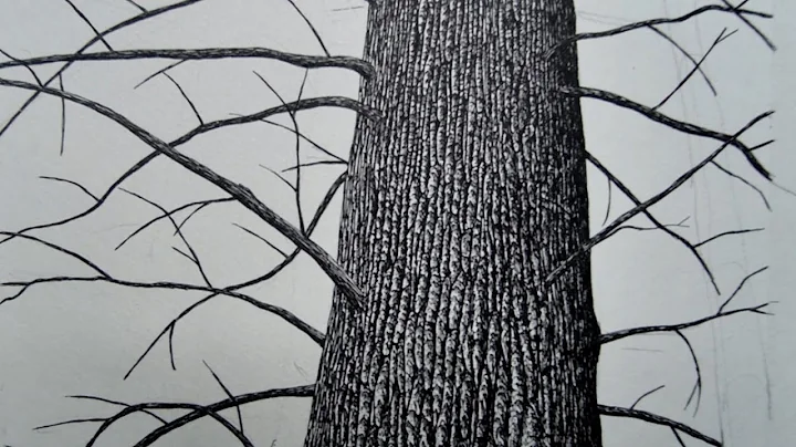 How to Draw Tree Bark on Trees in Perspective