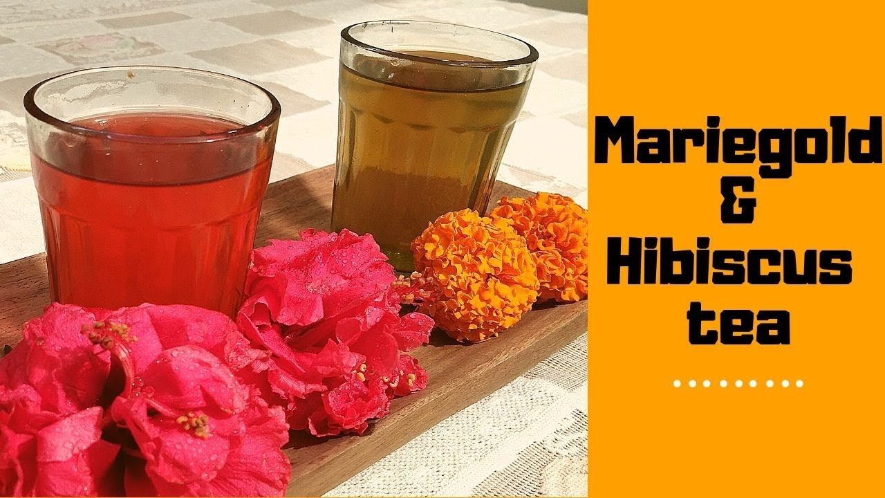 Marigold & Hibiscus Tea and their benefits! YouTube