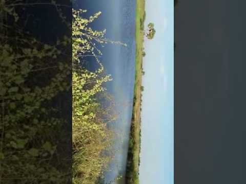 ظهور بحيرة في قرية الوجيه وهي تعود من قرى جازان