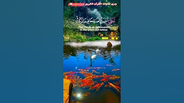 حالات وتساب  || قرآن كريم||القارئ حمزة بوديب||تلاوة تفوق الوصف