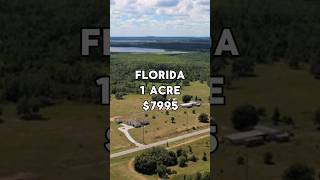 1.0 Acres for Sale in Lake Alfred, Florida for $7,995. Taxes are under $3 a month #land #fyp #viral