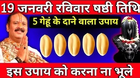 19 जनवरी रविवार षष्ठी तिथि के दिन करे 5 गेहूं का दाना वाला उपाय जो मागोगे वह मिलेगा pardeep ji