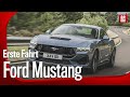 Ford Mustang (2024) | Fords heißester Hengst reitet weiter | Fahrbericht mit Thomas Geiger