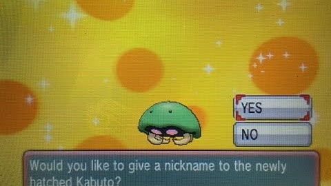 [Live] Shiny Kabuto hatched after 746 eggs on Pokemon Alpha Sapphire