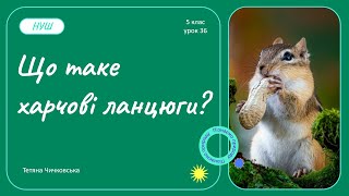 картинка: Що таке харчові ланцюги?