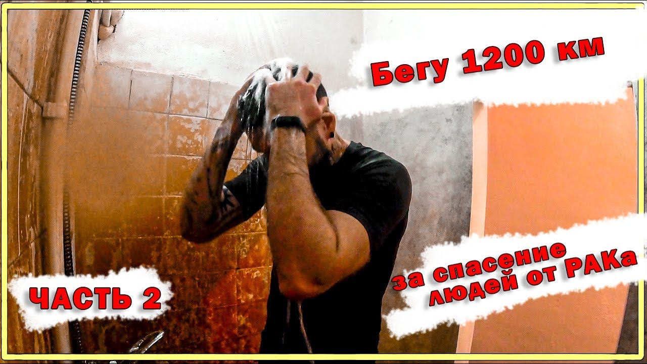 Дима сметкин картины