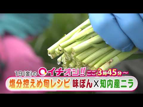 【公式】2月19日（金）イチオシ！！　番組予告