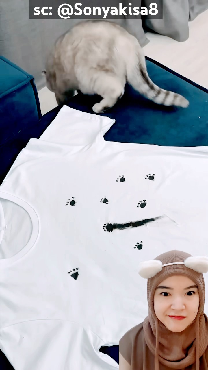 miaw kotorin‼️