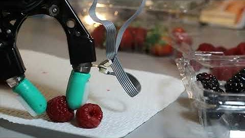 Picking fruit with SynTouch BioTac tactile sensors