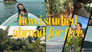 ✈️ how i studied abroad for free // honest scholarship   financial aid chat