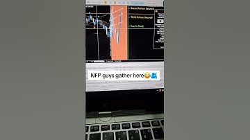 NFP guys gather here 😂 🫂 ✨️ #forexalgotrader #mql5 #nfp #nonfarmpayrolls #shorts