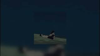 Lovers rock - (speed up)