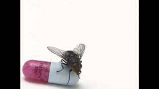 The red hot chili peppers-Ethiopia