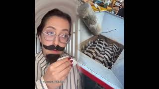 картинка:  || Текст к речи || Пов Tiktok компиляции || @lisav_ ||