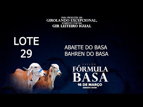 LOTE 29   BASA 338   BASA 730