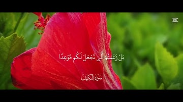 المال والبنون زينة الحياة الدنيا/سورة الكهف 🌺