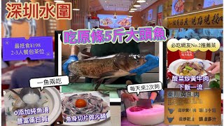 深圳水圍最抵套餐人均¥705斤大頭魚秦川黃牛0添加奶白魚湯百份百鮮味必吃網友No.2下飯菜酸菜炒黃牛肉{深圳EP35}