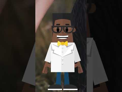 الرومانسية في مصر سيب النعجة يا خروف