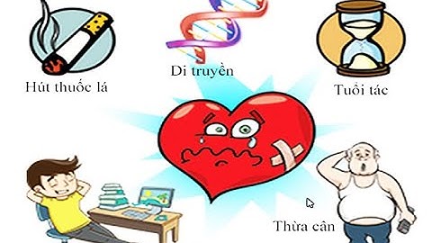 Dược lý 2: Thuốc Tác Động Trên Tim Mạch (Phần 1)