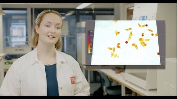 HoloMonitor® Live Cell Imaging System in 1 Minute