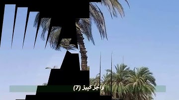 سورة فاطر من الآية (١) إلى الآية (١١) بصوت القارئ/شعبان أحمد