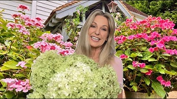 5 EASY Ways to Dry Hydrangeas ~ Free Home Decor