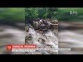 Під час грози у горах вантажівка з лісорубами упала в річку