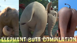 Elephant Butt Compilation 2024